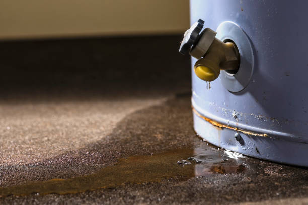 Best Water damage restoration near me  in Cordova, NC