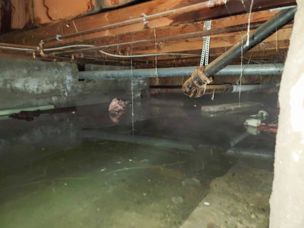  Cordova, NC Water damage restoration Pros