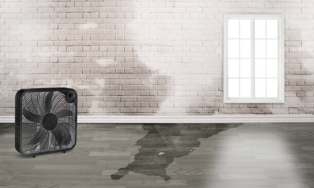 Best 24-hour water damage restoration  in Cordova, NC
