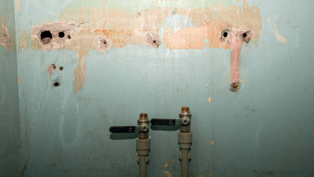 Best Water damage restoration process  in Cordova, NC