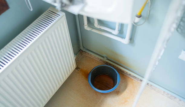 Best Water damage restoration near me  in Cordova, NC