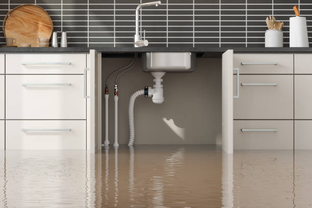Best Flooded house restoration  in Cordova, NC