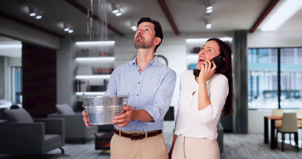 Best Local water damage restoration  in Cordova, NC