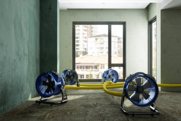 Best Sewage cleanup and water damage restoration  in Cordova, NC